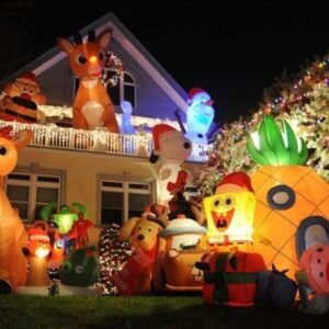 OUTDOOR DECORATION TOYS